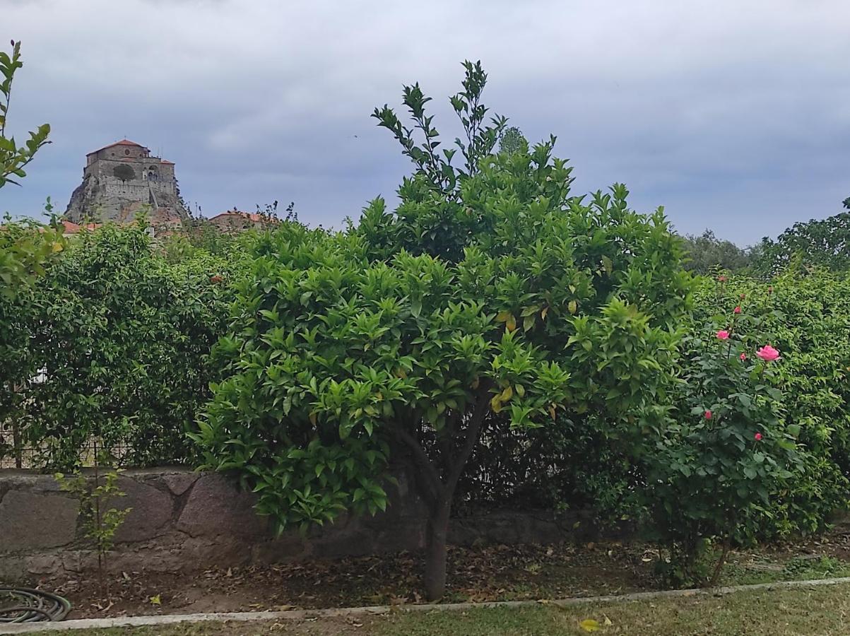 Petra House Βίλα Εξωτερικό φωτογραφία